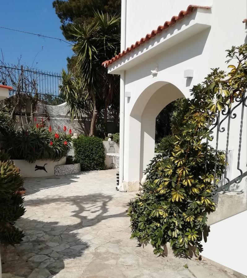 B&B L'Altare Bianco Vieste Exteriér fotografie