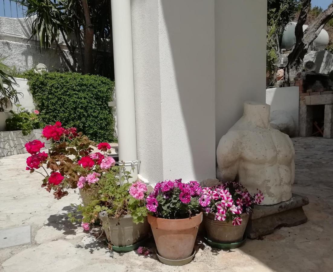B&B L'Altare Bianco Vieste Exteriér fotografie