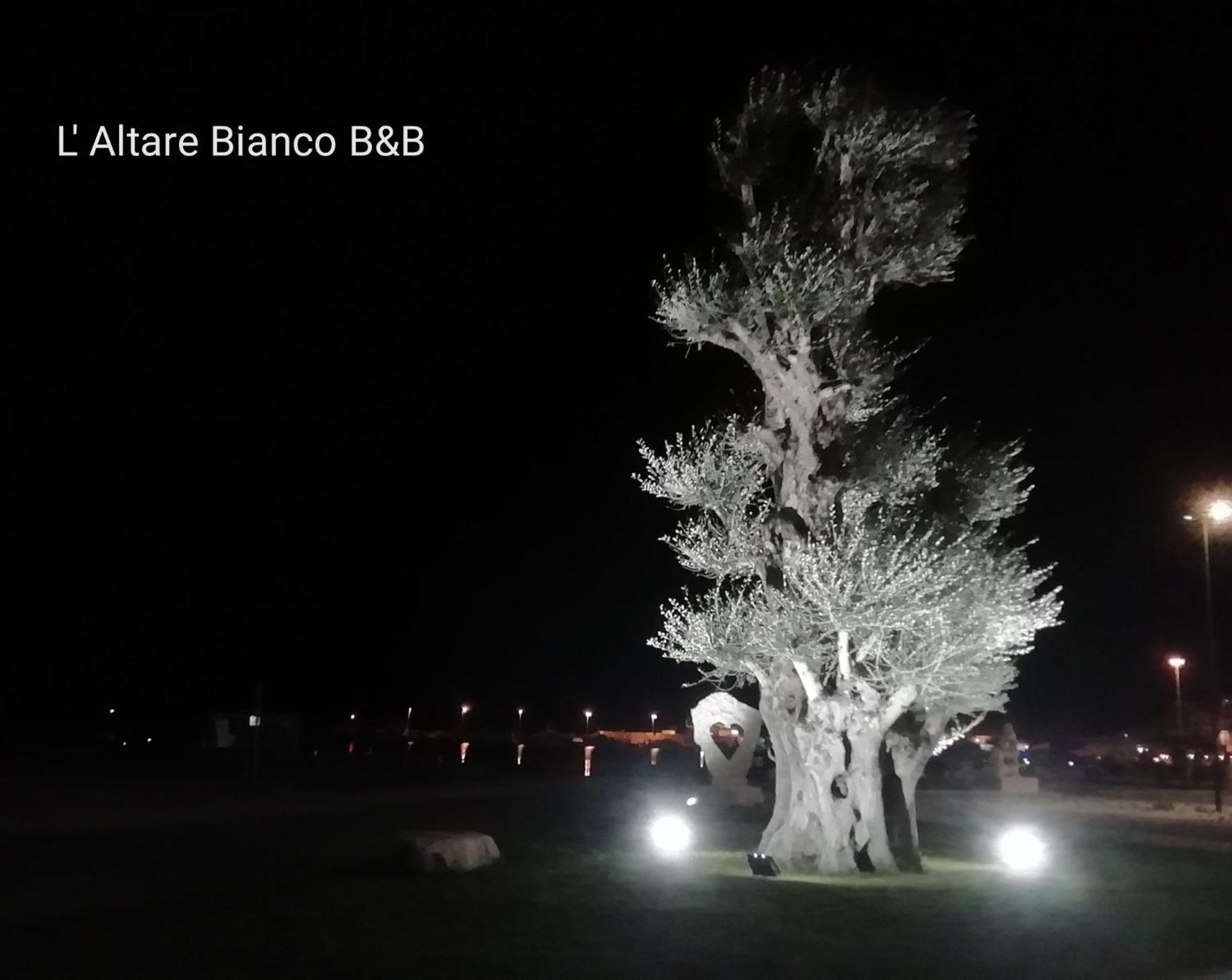 B&B L'Altare Bianco Vieste Exteriér fotografie